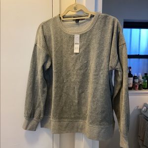 Grey velour sweat set from J. Crew